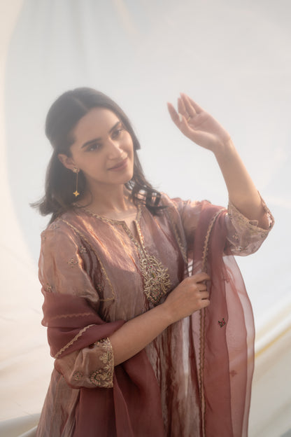 ROSY NUDE SILK TISSUE KALIDAR SUIT SET