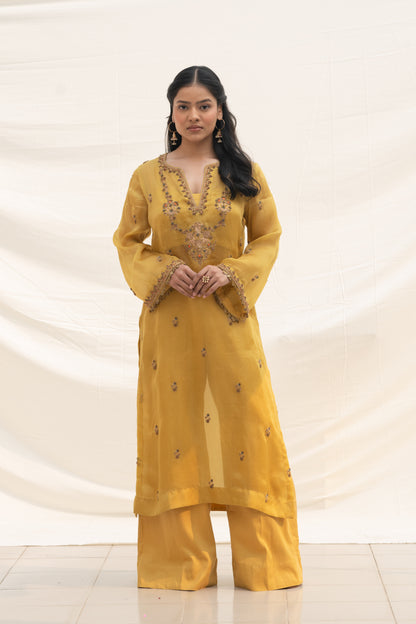BISCOTTI YELLOW SILK ORGANZA KURTA SET
