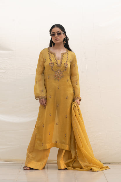 BISCOTTI YELLOW SILK ORGANZA KURTA SET